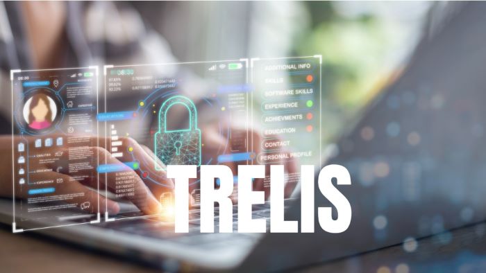 Further review of the Department of Transport's management of unlawful access to TRELIS