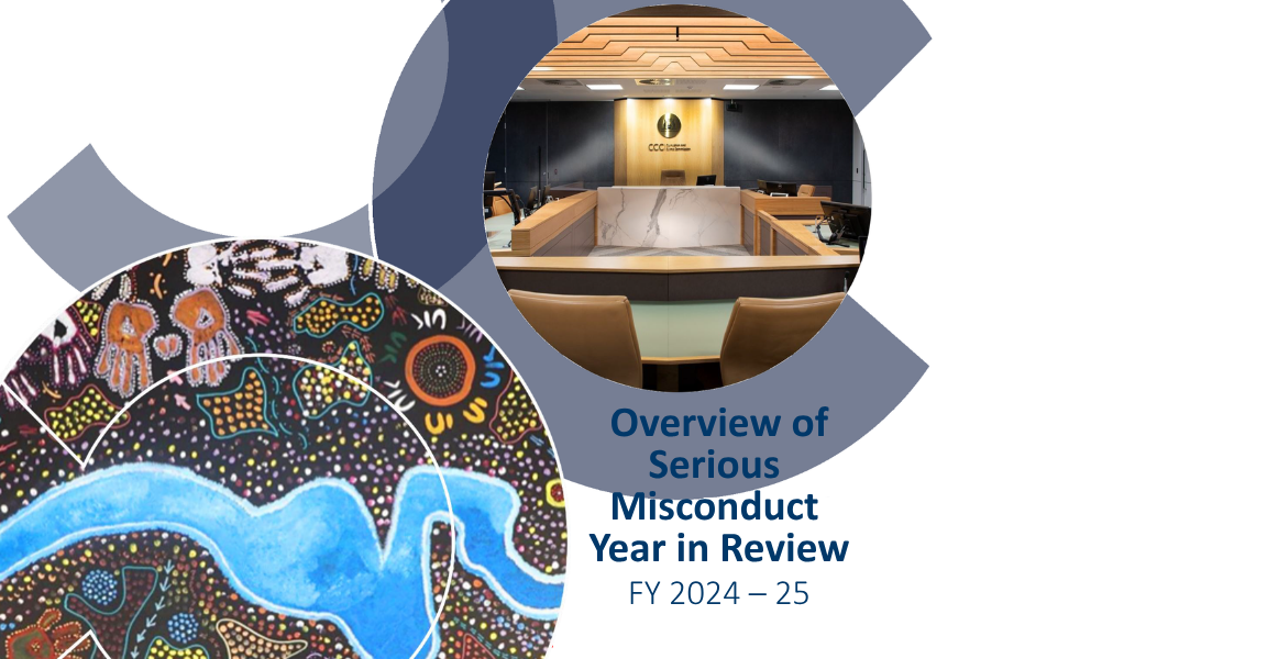 Overview of Serious Misconduct - Year in Review 2024-2025