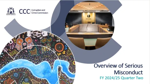 Overview of Serious Misconduct 2025 Q2
