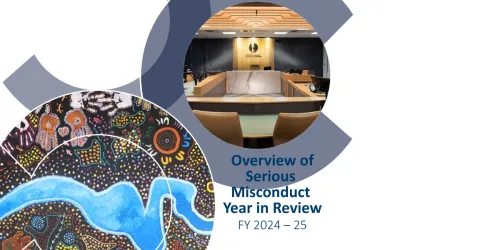 Image of CCC examination room and aboriginal artwork; title reads Overview of Serious Misconduct - Year in Review FY 2024-2025
